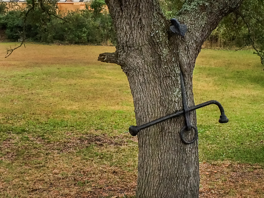 Anchor through a Tree