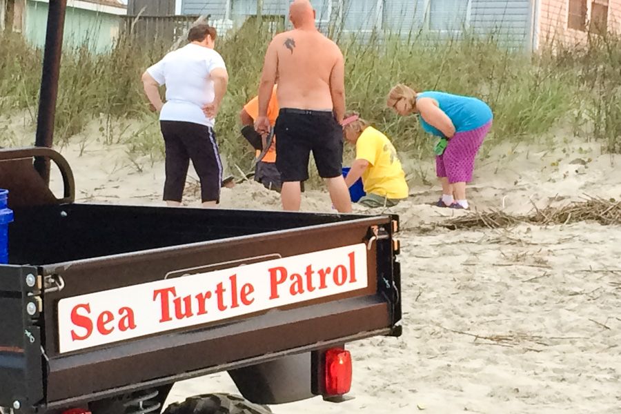 Sea Turtle Patrol
